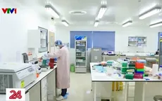 TP Hồ Chí Minh: Khoanh vùng, hướng dẫn phòng bệnh đậu mùa khỉ