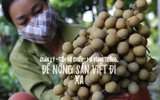 Quản lý “tấm hộ chiếu” mã vùng trồng, để nông sản Việt đi xa