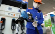 Thủ tướng: Thực hiện hiệu quả các giải pháp bảo đảm cung ứng điện, xăng dầu