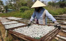 Chế biến cá hấp “bí” đầu ra