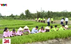 TP Hồ Chí Minh: Đẩy mạnh hướng nghiệp sớm cho học sinh THCS