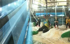 Nhịp sống bận rộn ở làng ngư cụ Thơm Rơm