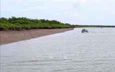 Điều tra việc hút cát, chặt phá cây tại Vườn Quốc gia Xuân Thủy
