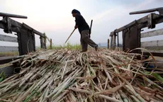 Hạn hán khiến sản lượng đường của Thái Lan giảm 20%