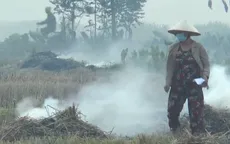 Hà Nội yêu cầu không để xảy ra hoạt động đốt rơm rạ gần sân bay Nội Bài