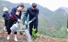 Việt Nam đang vượt chỉ tiêu thực hiện 1 tỷ cây xanh