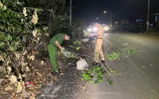 Tông xe vào cột điện bên đường, người đàn ông tử vong tại chỗ