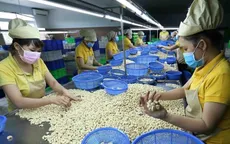 Xuất khẩu điều lập kỷ lục mới