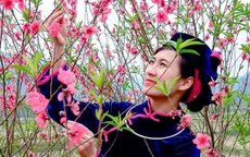 Lạng Sơn: Nhiều hoạt động trong Lễ hội Hoa đào xứ Lạng thu hút du khách
