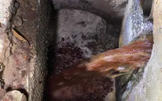Bắt quả tang cơ sở giết mổ gia súc xả nước thải chưa xử lý ra môi trường
