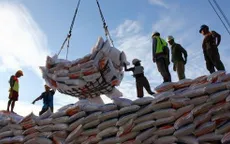 Indonesia nhập khẩu 500.000 tấn gạo từ Việt Nam và 6 nước khác