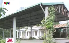 Hà Nội: Chợ cóc tấp nập, chợ mới tiền tỷ bỏ hoang, cỏ mọc ngập lối đi