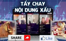 Quyền lực của người dùng mạng đang lên ngôi