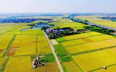 Luật Đất đai (sửa đổi) sẽ tác động mạnh đến hiệu quả nông nghiệp