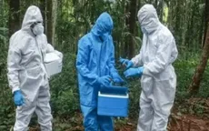 Bangladesh báo cáo ca tử vong đầu tiên do virus Nipah