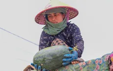 Cửa khẩu Lào Cai nhộn nhịp dịp cận Tết
