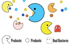 Vai trò của probiotics và prebiotics với sức khỏe phụ nữ