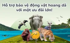 Bổ sung 1 triệu USD cho hoạt động bảo tồn động vật hoang dã