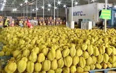 Kết nối để bứt phá: “Tây Nguyên vào xuân”