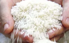 Gạo Việt vào châu Âu bằng thương hiệu