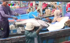 Niềm vui từ những chuyến biển đầu năm