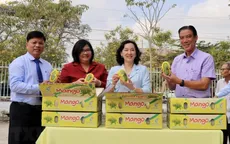 An Giang xuất khẩu lô xoài hạt lép đầu tiên đi Hàn Quốc