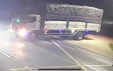 Lái xe tải đi... trộm mai