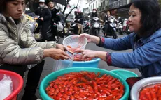 Giá cá chép đỏ thấp hơn mọi năm