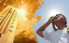El Nino gây nắng nóng, khô hạn, cháy rừng