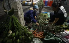 Hà Nội: Giá trầu cau neo cao dịp Rằm tháng Giêng
