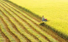Việt Nam dẫn đầu về cách mạng nông nghiệp xanh