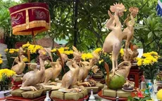 Cận cảnh "phi đội gà bay" ấn tượng tại Hà Tĩnh