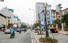 Cây xanh trên đường Huỳnh Thúc Kháng kéo dài chết khô, trơ trụi do thiếu chăm sóc?