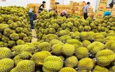 "Rộng cửa” cho trái cây Việt Nam sang thị trường Trung Quốc
