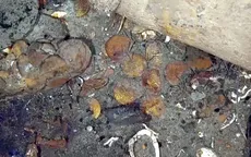 Colombia trục vớt thuyền chở đồ cổ trị giá hàng tỷ USD