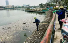 Hà Nội: Cá chết hàng loạt ở hồ Công viên Thiên văn học