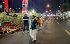 Người dân TP Hồ Chí Minh nô nức đi chợ hoa Xuân "Trên bến dưới thuyền"