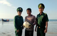 Bắt được đồi mồi quý hiếm, ngư dân bàn giao cho biên phòng thả về biển