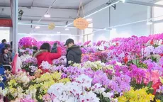 Tấp nập không khí mua sắm tại chợ hoa Tết truyền thống ở Bắc Kinh, Trung Quốc