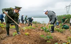 Thủ tướng chỉ thị tổ chức Tết trồng cây, tăng cường quản lý, bảo vệ, phát triển rừng