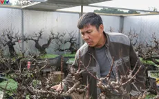Lão nông xây "phòng nghỉ" cho đào thất thốn