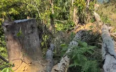 Khởi tố vụ phá rừng phòng hộ Tây Giang