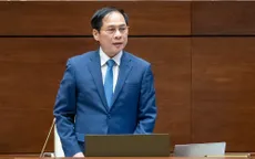 Bộ trưởng Bùi Thanh Sơn: Ngành ngoại giao "đau xót" về vụ chuyến bay giải cứu