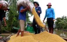 Đẩy mạnh sản xuất, kinh doanh, xuất khẩu lúa, gạo bền vững, minh bạch, hiệu quả