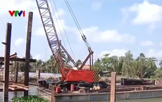 Người dân Bến Tre chủ động ngăn mặn bảo vệ trồng rừng
