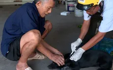 Đồng Nai: Thêm 2 người bị chó dại cắn