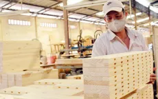 Doanh nghiệp gỗ "đi chợ" kiếm đơn hàng