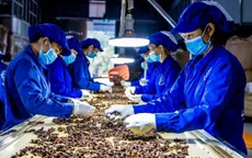 Thủ tướng chỉ đạo tháo gỡ khó khăn cho hoạt động xuất khẩu dược liệu