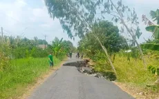 Kiên Giang công bố tình huống khẩn cấp do sạt lở ở vùng đệm U Minh Thượng
