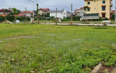 Đồng Nai dự kiến thu trên 5.000 tỷ đồng từ đấu giá đất